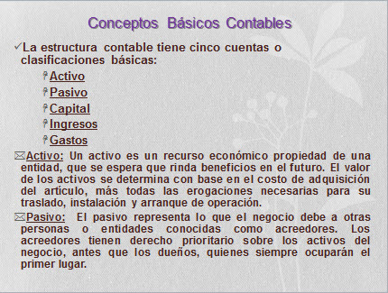 imagen1