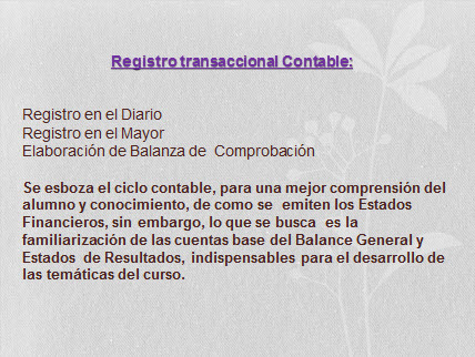 imagen1