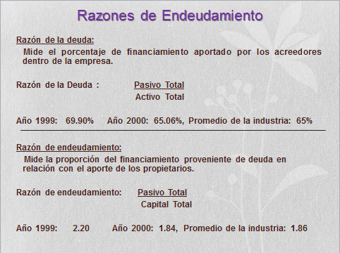 imagen1