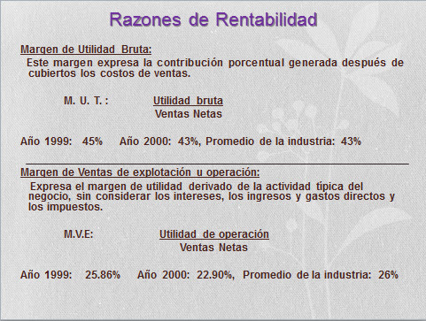 imagen1