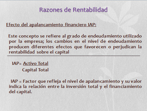 imagen1