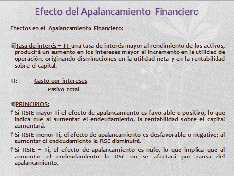 imagen1