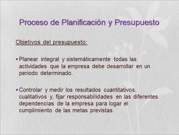 imagen1