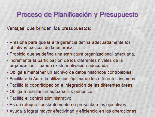 imagen1