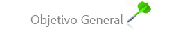 Objetivo General