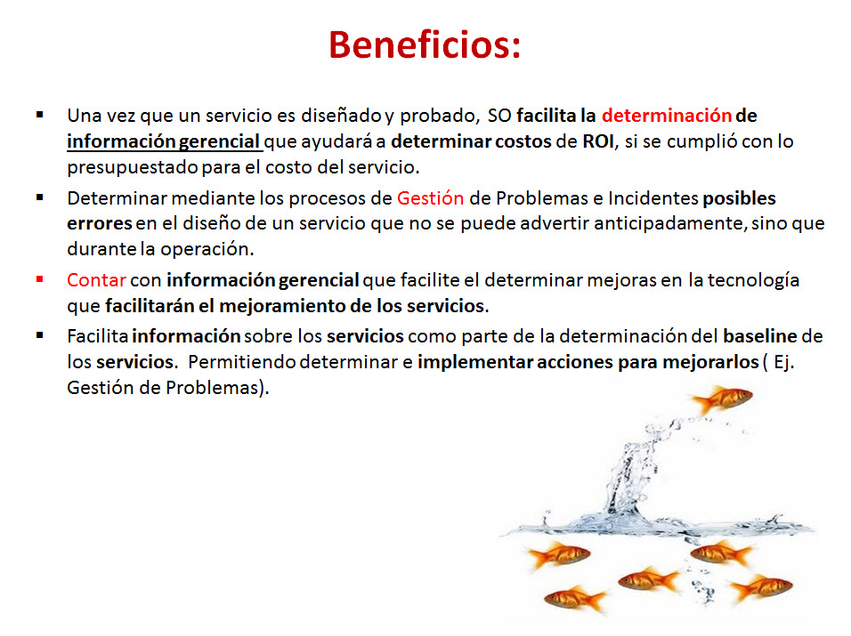 imagen1