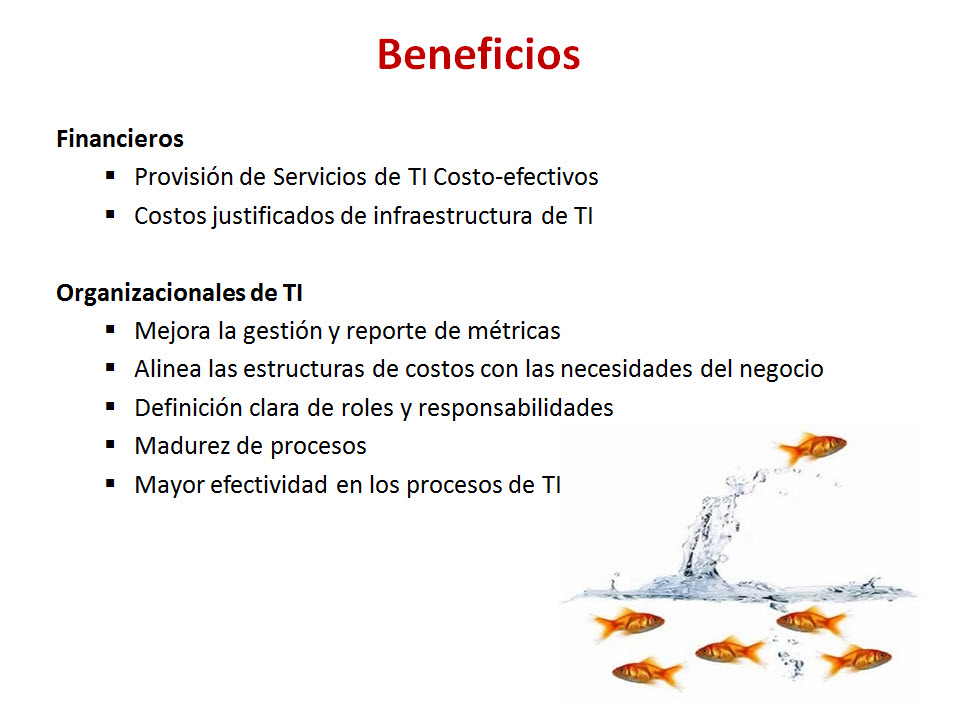 imagen1
