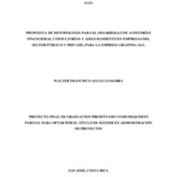 PROPUESTA DE METODOLOGÍA PARA EL DESARROLLO DE AUDITORÍAS FINANCIERAS, CONSULTORÍAS Y ASEGURAMIENTO EN EMPRESAS DEL SECTOR PÚBLICO Y PRIVADO, PARA LA EMPRESA GRAFINSA SAS