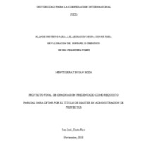 PLAN DE PROYECTO PARA LA ELABORACION DE UNA CONSULTORIA DE VALORACION DEL PORTAFOLIO CREDITICIO<br /><br />
EN UNA FINANCIERA PYMES