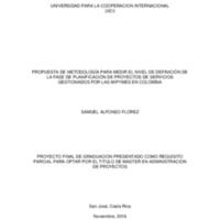 Propuesta de una metodología para medir el nivel de definición de la fase de planificación de proyectos de servicios gestionados por las Mi pymes en Colombia 