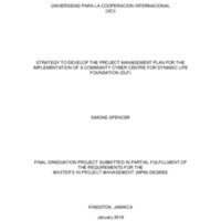 STRATEGY TO DEVELOP THE PROJECT MANAGEMENT PLAN FOR THE IMPLEMENTATION OF A COMMUNITY CYBER CENTRE FOR DYNAMIC LIFE FOUNDATION (DLF) 